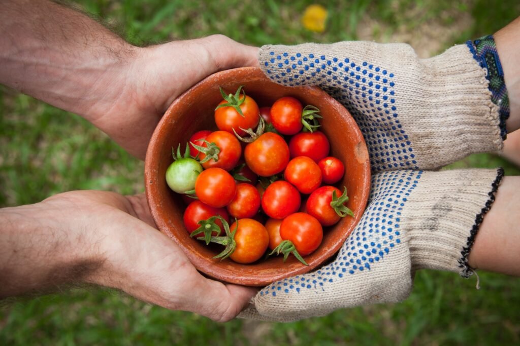 Circular Onopia - Food industry and circular economy