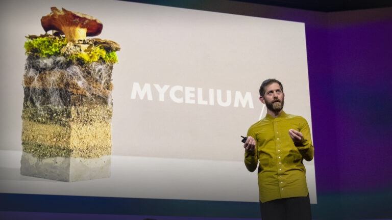 Le futur de la mode - fabriqué à partir de champignons | Dan Widmaier | TED