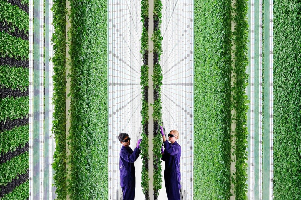 Circular Onopia - Plenty® vertical farming