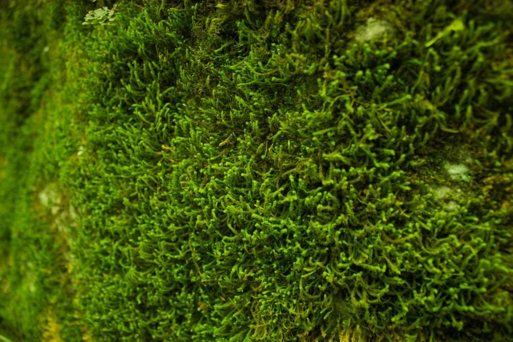 Circular Onopia - Magazine de l'économie circulaire et la Techforgood